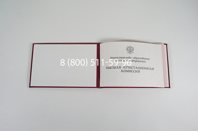 Диплом доктора наук 1995-2006 года в Кемерово