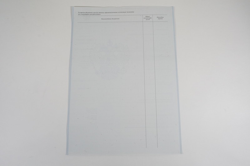 Диплом о начальном образовании 2007-2009 годов в Кемерово Диплом о начальном образовании 2007-2009 годов в Кемерово